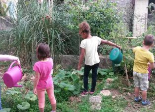 potager.jpg